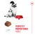 Cats next to a bowl with dry food, close-up of a piece of kibble with a 1 cm scale. Text: Perfectly proportioned kibble.