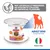 Hill's Science Plan Adult 1 - 6 Perfect Digestion Small & Mini Mousse