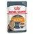Royal Canin Intense Beauty Care 85 г, желирана храна за котки. Видими надписи: Healthy skin and coat, Gelee-Желе. Изображение на дългокосместа котка и купичка с храна.