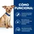 Texto: Cómo funciona. Fórmula muy fácil de digerir para favorecer la absorción de nutrientes. Fibra prebiótica para fomentar la actividad de las bacterias intestinales beneficiosas. Altos niveles de electrolitos y vitaminas B; Antioxidantes clínicamente probados. Texto: Cómo funciona. Fórmula muy fácil de digerir para favorecer la absorción de nutrientes. Fibra prebiótica para fomentar la actividad de las bacterias intestinales beneficiosas. Altos niveles de electrolitos y vitaminas B; Antioxidantes clínicamente probados.