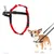 Red and black adjustable harness shown separately and worn by a pet, demonstrating fit and leash attachment. Collar and lead sold separately.
