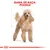 Texto visível: 'Gama de raça: Poodle' acima da imagem de um cão poodle. Indicação visual do tamanho do animal ao lado.
