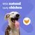 Pedigree Dentastix Daily Dental Sticks for Small Dogs (5 - 10 kg) - 7 Sticks (Chicken) Pedigree Dentastix Daily Dental Sticks for Small Dogs (5 - 10 kg) - 7 Sticks (Chicken)