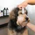 Dog being treated with a care pad on the forehead, care products visible in the background.