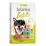 Briantos Biski Mix sans céréales pour chien - 2 x 400 g