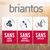 Briantos Adult Light Sterilised dinde & pommes de terre - SANS CÉRÉALES pour chien