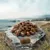 Purizon Large Adult Chicken & Fish - spannmålsfritt