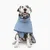 Chien dalmatien portant un manteau bleu pour chien, coupe couvrante avec col montant et fermeture sur le poitrail, tissu lisse visible.