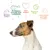 Reines Futter, perfektes Eiweiss-Fett-Verhältnis, Tierschutz, bessere Welt, glückliche gesunde Hunde. Illustration mit Hund und Symbolen.