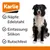 Gamelle double Karlie Dex avec support en silicone pour chien
