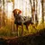 Dog coat with camouflage pattern, suitable for outdoor activities in autumnal surroundings.