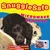 Vinterset: Vetbed® Isobed filt + Snugglesafe värmedyna - Filt L 75 x B 50 cm + SnuggleSafe värmedyna Vinterset: Vetbed® Isobed filt + Snugglesafe värmedyna - Filt L 75 x B 50 cm + SnuggleSafe värmedyna