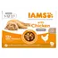 IAMS Delights Kitten kuřecí v omáčce - výhodné balení: 24 kapsiček (24 x 85 g)