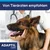 Von Tierärzten empfohlen. ADAPTIL Calm. Texte en allemand.