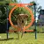 Hund springt durch einen orangefarbenen Trainingsreifen, befestigt an blauen Stangen. Geeignet für Agility-Training im Garten.