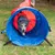 Blauer und roter Spieltunnel für Hunde auf einer Wiese, geeignet für Training oder Spielaktivitäten.