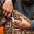 Person cutting a dog's fur with scissors. Demonstration of coat care.
