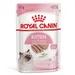 Royal Canin Kitten Mousse - 12 x 85 g
