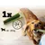 Dog chewing green dental stick. Text shows 1 stick per day for dogs weighing 10 to 25 kg.