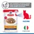 Hill's Science Plan Bouchées Premium en Sauce Poulet, Adulte Mature 7+, sans conservateurs, colorants ou arômes artificiels, fabriqué en Italie. Hill's Science Plan Bouchées Premium en Sauce Poulet, Adulte Mature 7+, sans conservateurs, colorants ou arômes artificiels, fabriqué en Italie.