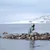 Hund trägt blauen Mantel und steht auf Steinen am Wasser mit verschneiter Landschaft im Hintergrund. Hund trägt blauen Mantel und steht auf Steinen am Wasser mit verschneiter Landschaft im Hintergrund.