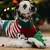 beeztees Christmas Tree Dog Toy - Noel: 20 x 17 x 5.5 cm (L x W x H) beeztees Christmas Tree Dog Toy - Noel: 20 x 17 x 5.5 cm (L x W x H)