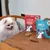 Lily's Kitchen Saumon Fishcakes et Lily's Kitchen Turkey Strips with Pear, friandises pour chien dans des sachets refermables, posés sur une table. Lily's Kitchen Saumon Fishcakes et Lily's Kitchen Turkey Strips with Pear, friandises pour chien dans des sachets refermables, posés sur une table.