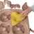 Hand cleaning a brown toy with a yellow cloth. Shows easy cleaning of the interactive pet toy with multiple compartments.