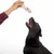 Hand hält ein weisses, geflochtenes Hundespielzeug mit rotem Detail über einem schwarzen Hund, der danach schnappt.