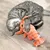 Grijze kat speelt met een oranje pluchen speelgoed in de vorm van een kreeft op een houten vloer.