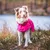 Chien portant un manteau imperméable rose en extérieur, sur un sol herbeux près d’un plan d’eau. Le manteau couvre le dos et les pattes avant du chien.