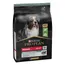 PURINA PRO PLAN Medium Adult Lam & Rijst Sensitive Digestion Hondenvoer - Dubbelpak: 2 x 3 kg