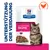 Hill's Prescription Diet Gastrointestinal Biome, Unterstützung der Verdauung, ActiveBiome+ Digestion, Huhn-Symbol auf Verpackung. Hill's Prescription Diet Gastrointestinal Biome, Unterstützung der Verdauung, ActiveBiome+ Digestion, Huhn-Symbol auf Verpackung.
