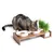 Houten standaard met twee witte voerschalen en kattengras. Kat eet uit één schaal, de andere bevat droogvoer.