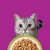 Whiskas 1+ Pouches Mega Multibuy 96 x 85g - Mixed Menu in Jelly Whiskas 1+ Pouches Mega Multibuy 96 x 85g - Mixed Menu in Jelly