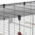 Close-up of a metal wire cage with secure clips, showing interior perches and water bottle attachment.