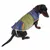 Hund trägt eine gesteppte Hundejacke in Blau und Grün mit orangefarbenen Akzenten. Sichtbare Befestigungsgurte unter dem Bauch.