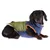 Hund trägt zweifarbige Winterjacke in Grün und Blau mit orangefarbenen Akzenten und weissem Innenfutter.