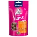 Vitakraft Cat Yums 40g - Chicken & Cat Grass