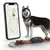 Weenect Tracker GPS XT pour animaux de compagnie pour chien