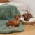 Grüne gesteppte Hundedecke mit Seilspielzeug und geflochtenes Hundebett mit weißem Kissen auf Holzboden.