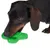 Hund leker med grönt kaktusformigt leksak. Produkten visar användning av husdjur.