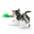Gatito juega con un juguete de cuerda y adorno de pluma verde.