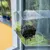 Transparent plastic bird feeder with suction cups, filled with sunflower seeds, attached to a glass pane.