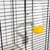 Bouteille d’eau transparente avec base jaune fixée sur une cage en métal noir, perchoir en plastique gris visible à l’intérieur.