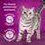 Texte en allemand : Von Katzen probiert und anerkannt, Gesunde Vitalität, Komplett 100 % und ausgewogen. Chat gris tigré sur fond violet.