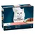 Gourmet Connoisseur's Collection mini fillets in gravy, with beef, chicken, turkey and salmon. Pack contains 12 portions of 85g each.