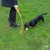 Person verwendet einen orangefarbenen Ballwerfer, während ein Hund mit einem gelben Tennisball auf einer Wiese spielt.