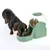 Green automatic feeder with transparent container, filled with dry food. Dog eating from the feeder’s bowl.