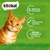 kitekat, emballage recyclable, sans conservateurs artificiels, Natural Vitality 100 % complet